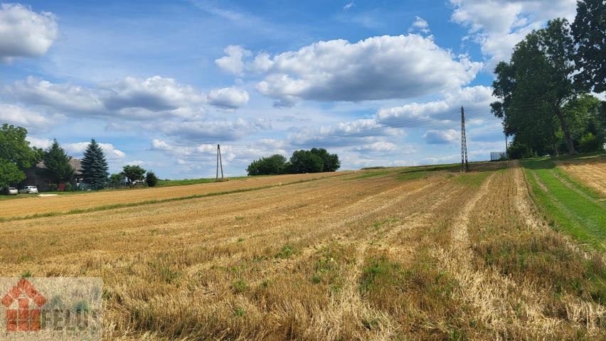 proszowicki, Pałecznica, Czuszów, Działka na sprzedaż