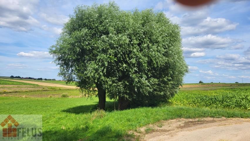 proszowicki, Pałecznica, Czuszów, Działka na sprzedaż